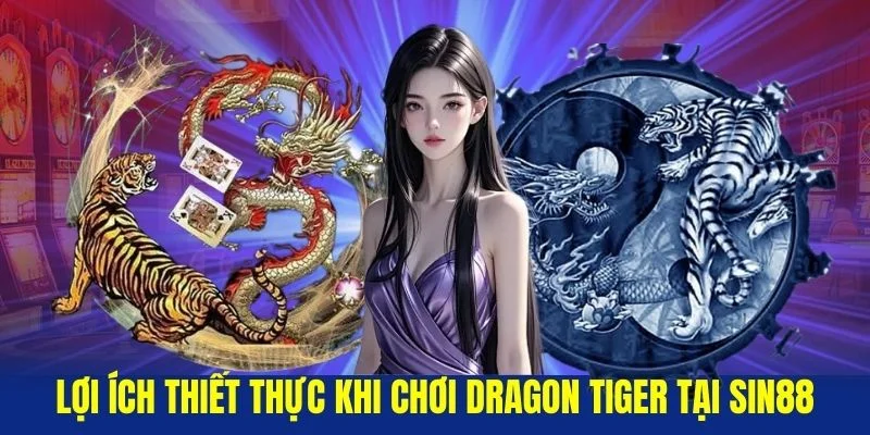 Loi-ich-thiet-thuc-khi-choi-Dragon-Tiger-tai-Sin88