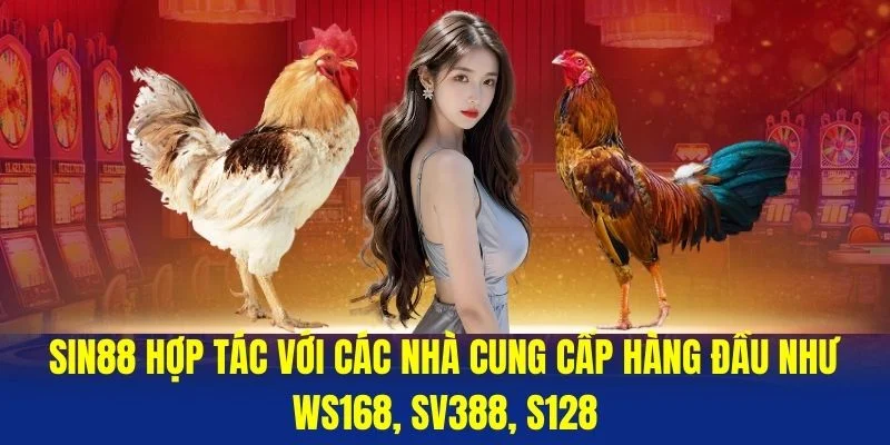 Sin88-hop-tac-voi-cac-nha-cung-cap-hang-dau-nhu-Ws168-SV388-S128