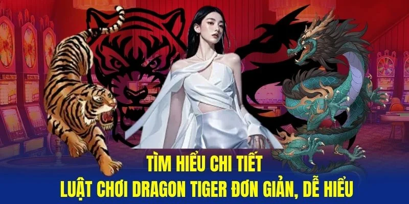 Tim-hieu-chi-tiet-luat-choi-Dragon-Tiger-don-gian-de-hieu