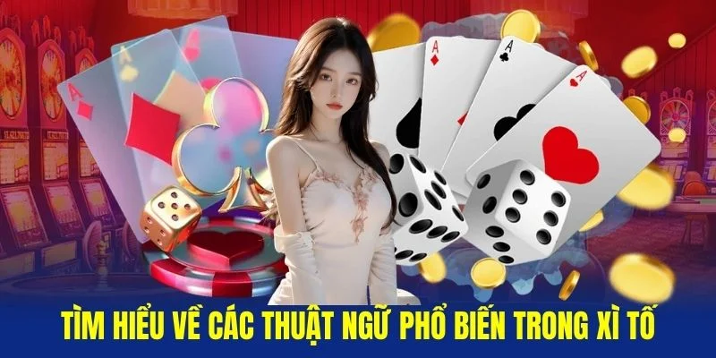 Tim-hieu-ve-cac-thuat-ngu-pho-bien-trong-Xi-To