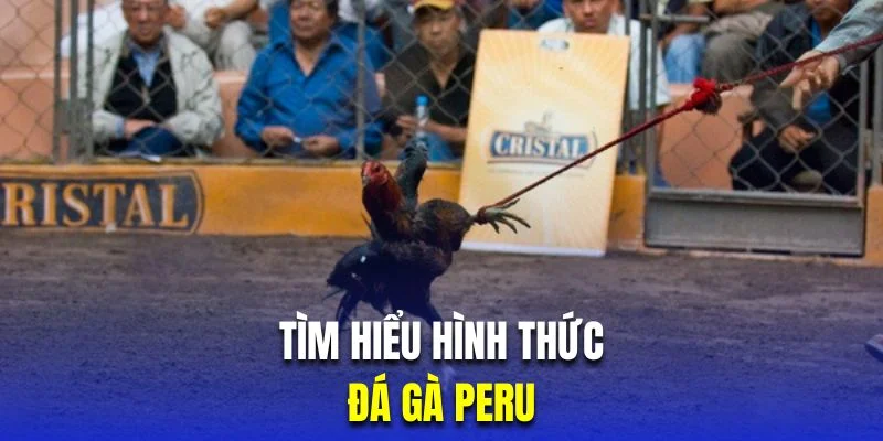 gioi-thieu-da-ga-peru